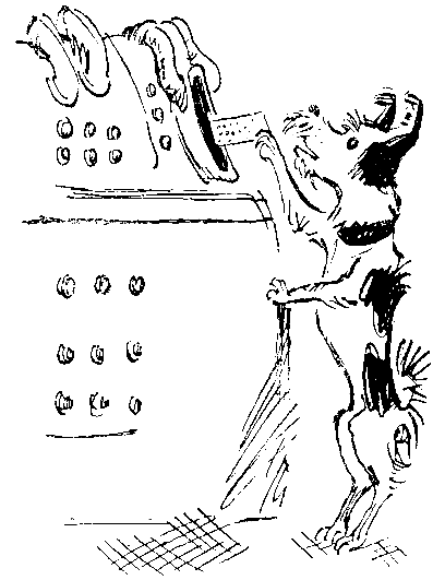 Черный свет (сборник) pic_35.png