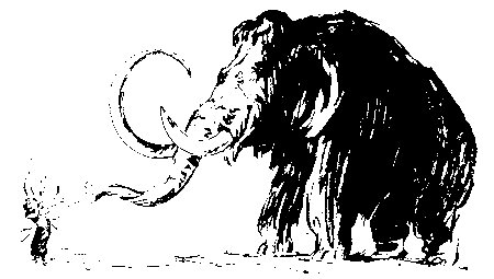 Черный свет (сборник) pic_6.png