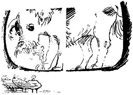 Черный свет (сборник) pic_37.png