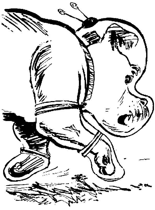 Черный свет (сборник) pic_44.png