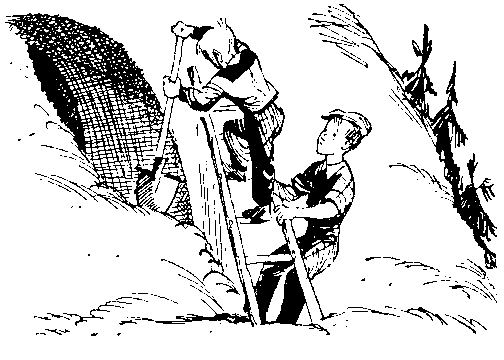 Черный свет (сборник) pic_50.png