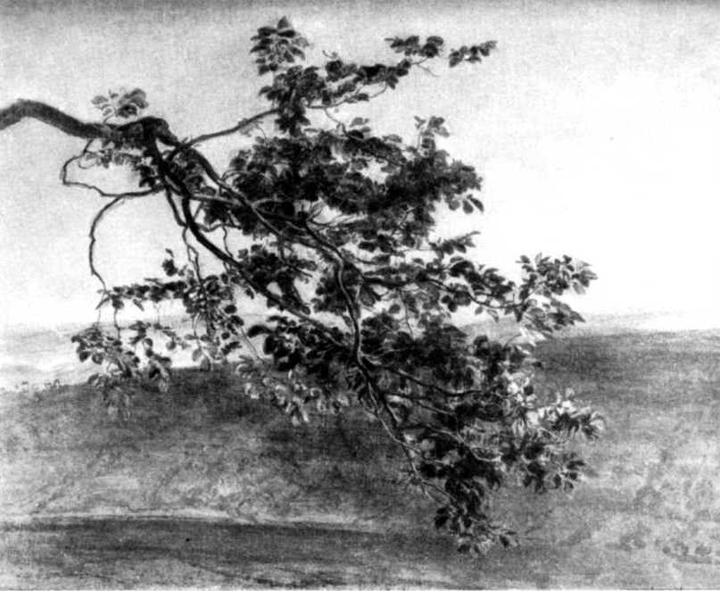 Александр Иванов i_016.jpg