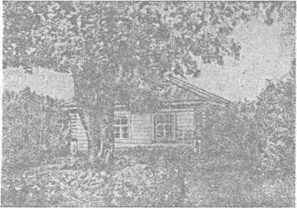 Ветка Лауры i_041.jpg