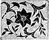 Ветка Лауры i_046.jpg