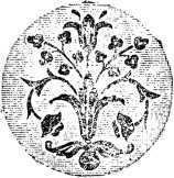 Ветка Лауры i_011.jpg