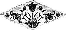Ветка Лауры i_017.jpg