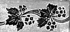 Ветка Лауры i_019.jpg