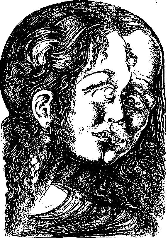 LSD. Галлюциногены, психоделия и феномен зависимости img4296.jpg
