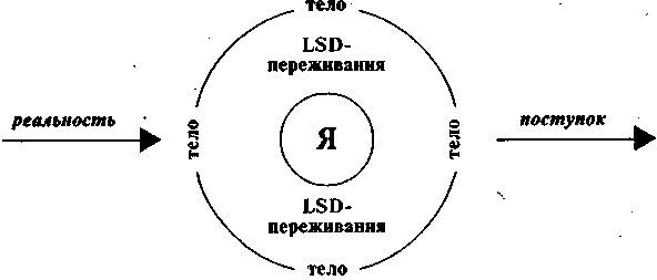 LSD. Галлюциногены, психоделия и феномен зависимости imgE4E.jpg
