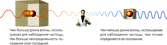 Мир в ореховой скорлупке (илл. книга-журнал) i_040.png