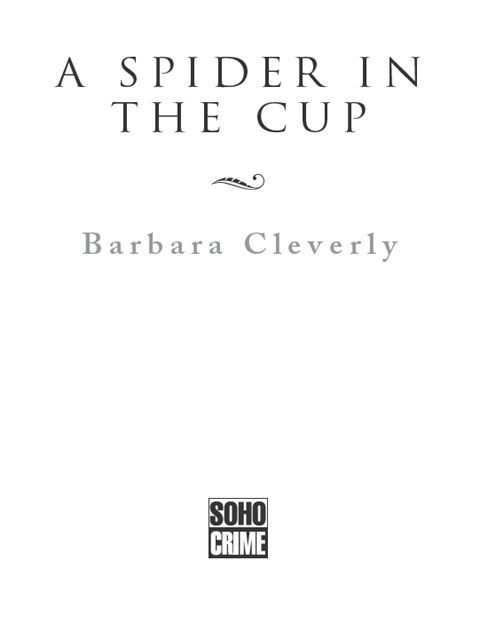 A Spider in the Cup _1.jpg