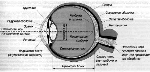 CCTV. Библия видеонаблюдения. Цифровые и сетевые технологии _05.jpg_0