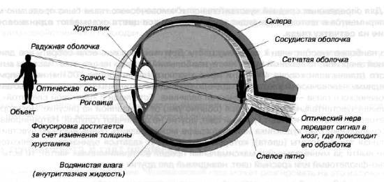 CCTV. Библия видеонаблюдения. Цифровые и сетевые технологии _06.jpg