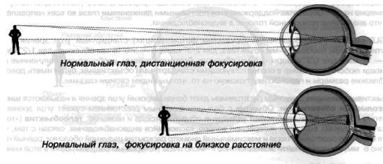 CCTV. Библия видеонаблюдения. Цифровые и сетевые технологии _09.jpg
