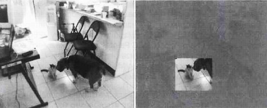 CCTV. Библия видеонаблюдения. Цифровые и сетевые технологии _305.jpg