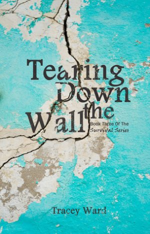 Tearing Down the Wall