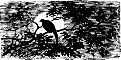 Тук Тукыч i_024.png