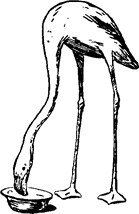 Тук Тукыч i_027.png