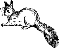 Тук Тукыч i_040.png