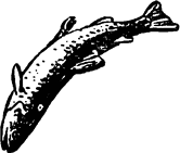 Тук Тукыч i_016.png