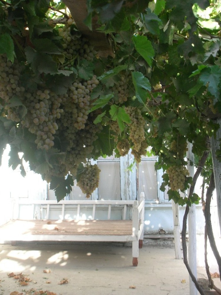 Чётки image12_548e57c03767386b10806b7e_jpg.jpeg