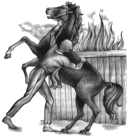 Чорний красень i_009.png