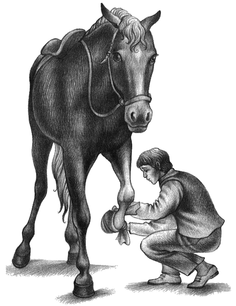 Чорний красень i_013.png
