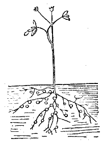 Практика спортивного рыболовства i_016.png