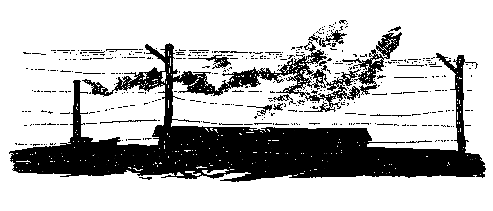 Парень из Сальских степей pic_2.png