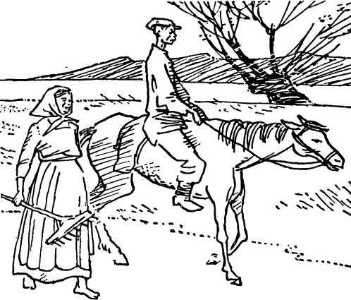 Конец нового дома (сборник) i_004.jpg