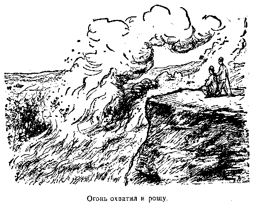 Золотоискатели в пустыне pic_22.png