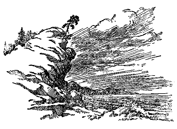 Морской чорт img002.png