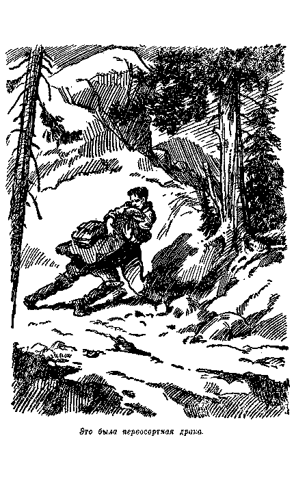Морской чорт img004.png