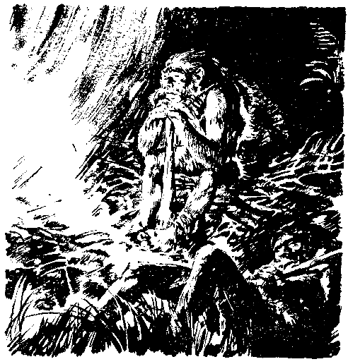 Борьба за огонь. Пещерный лев (с илл.) pic_15.png