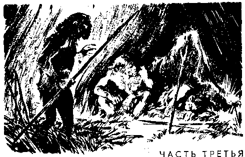 Борьба за огонь. Пещерный лев (с илл.) pic_22.png