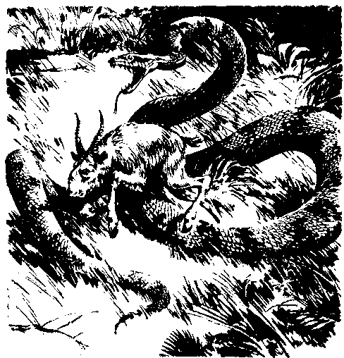 Борьба за огонь. Пещерный лев (с илл.) pic_39.png