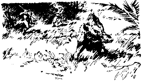 Борьба за огонь. Пещерный лев (с илл.) pic_42.png