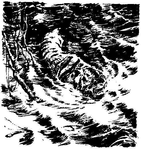 Борьба за огонь. Пещерный лев (с илл.) pic_45.png