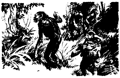 Борьба за огонь. Пещерный лев (с илл.) pic_49.png