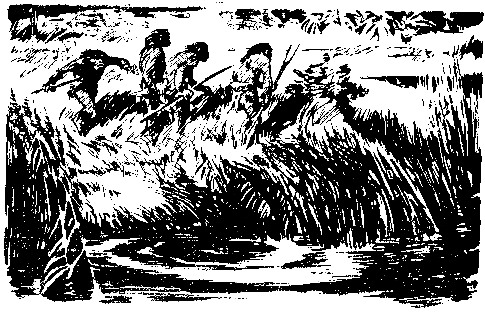 Борьба за огонь. Пещерный лев (с илл.) pic_53.png