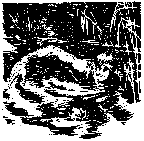 Борьба за огонь. Пещерный лев (с илл.) pic_54.png