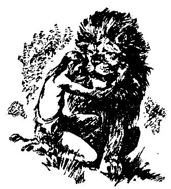 Борьба за огонь. Пещерный лев (с илл.) pic_68.png