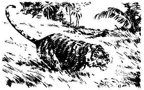 Борьба за огонь. Пещерный лев (с илл.) pic_10.png