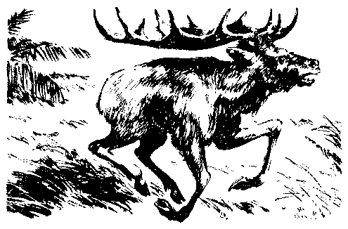 Борьба за огонь. Пещерный лев (с илл.) pic_11.png
