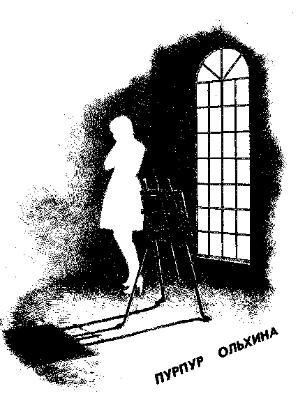 Прозрачная женщина (сборник) img002.png