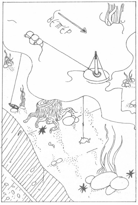 Ловля на кружки i_011.jpg