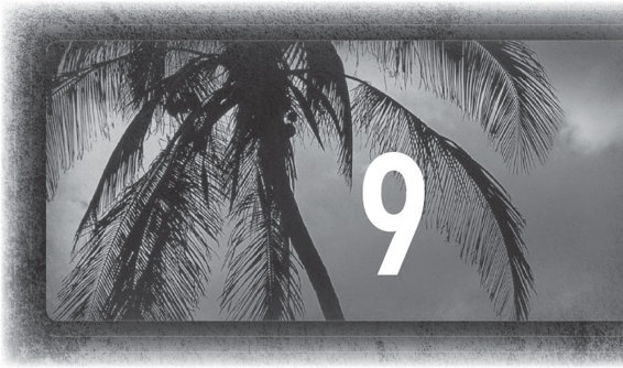 Cuba Straits _14.jpg