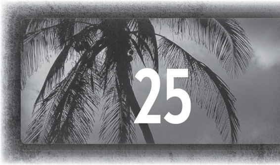 Cuba Straits _30.jpg