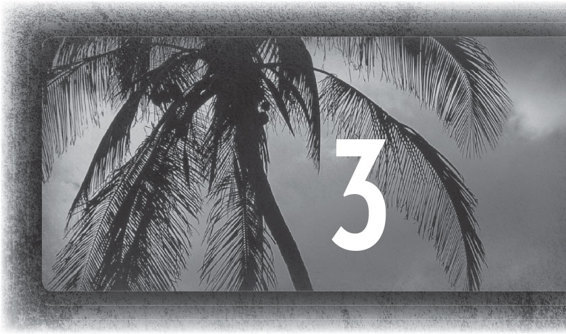 Cuba Straits _8.jpg