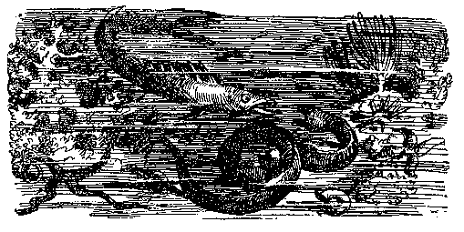 Тайна двух океанов (илл. В. Ермолов) pic_4.png